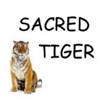 Sacred Tiger
